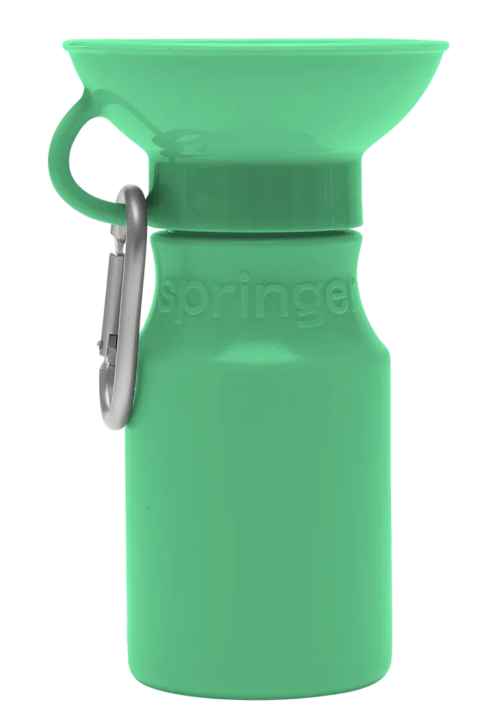 Mini Dog Travel Bottle 15oz - Springer Green